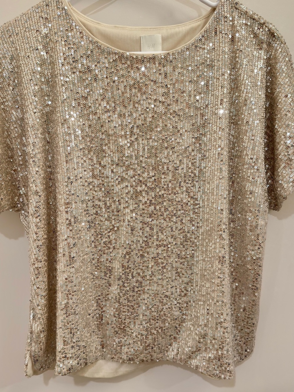 H&M Champagne Sequin Short Sleeve Top